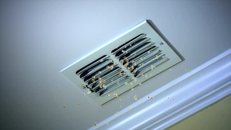 Best HVAC System Cleaning  in Seffner, FL
