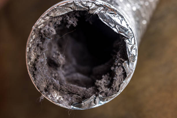 Best Commercial Air Duct Cleaning  in Seffner, FL