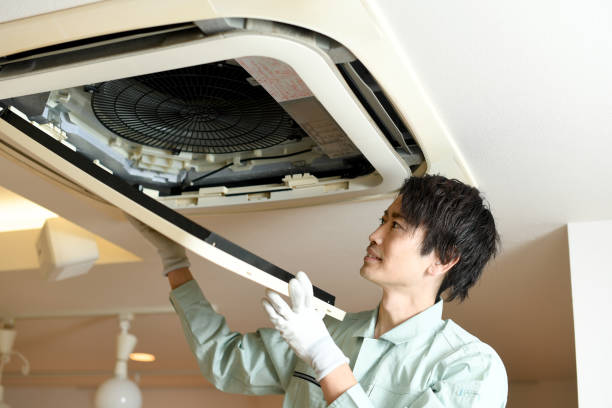 Best Air Vent Cleaning Services  in Seffner, FL